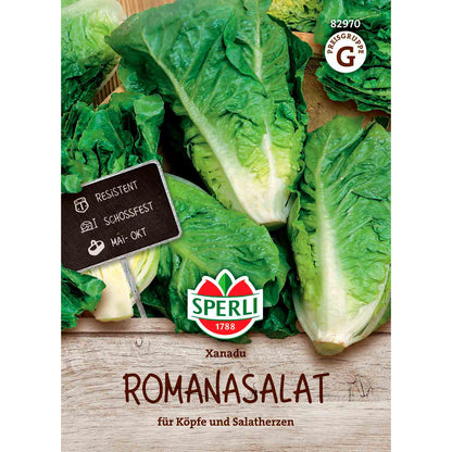 Romainesallat Xanadu