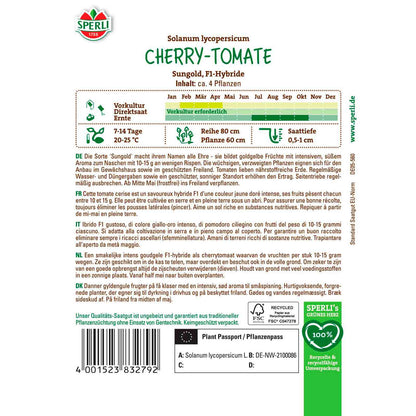 Cherry-Tomate Sungold, F1
