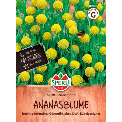 Ananasblume SPERLI's Süßer Duft