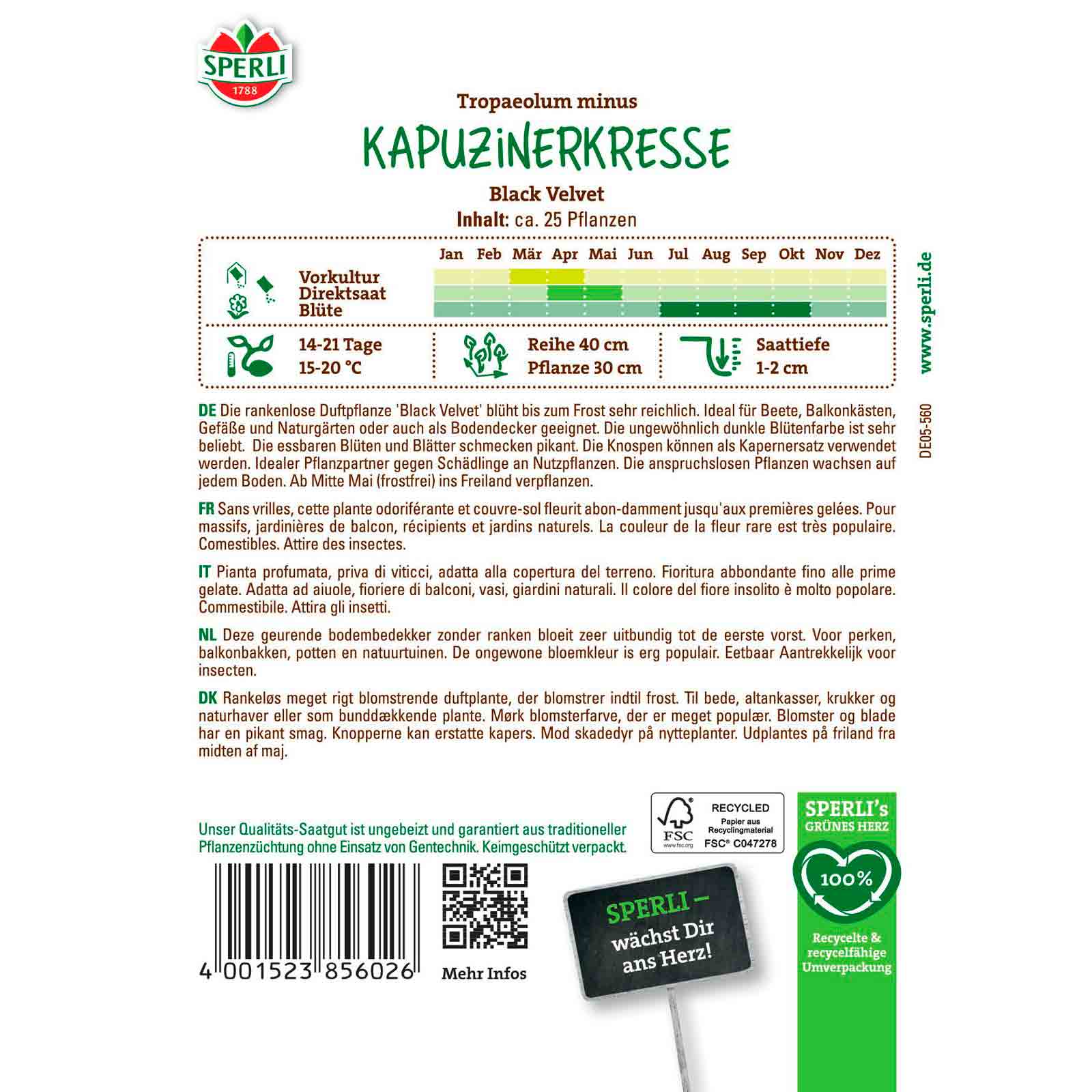 Kapuzinerkresse Black Velvet