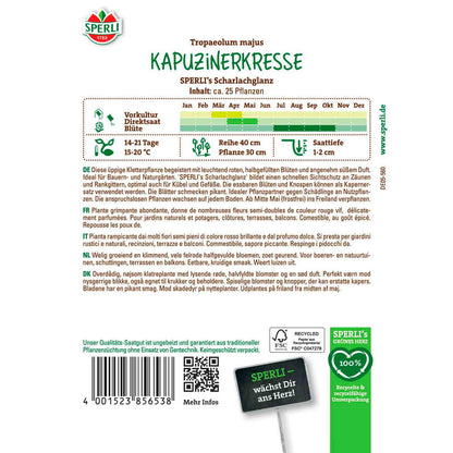 Kapuzinerkresse SPERLI's Scharlachglanz