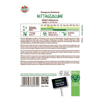 Middagsblomma - SPERLI's Sea of ​​Flowers