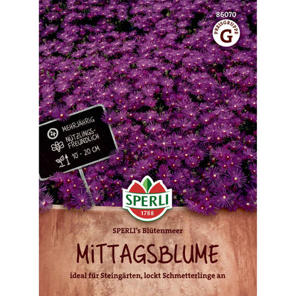 Middagsblomma - SPERLI's Sea of ​​Flowers