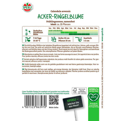 Acker-Ringelblume Frühlingssonne