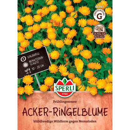 Acker-Ringelblume Frühlingssonne