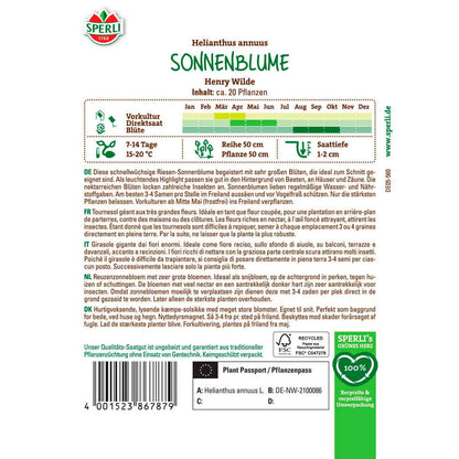 Sonnenblume Henry Wilde