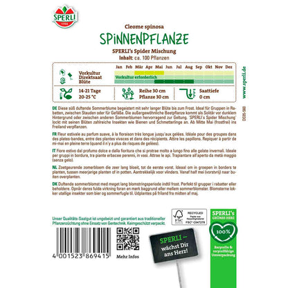 Spinnenpflanze SPERLI's Spider Mischung
