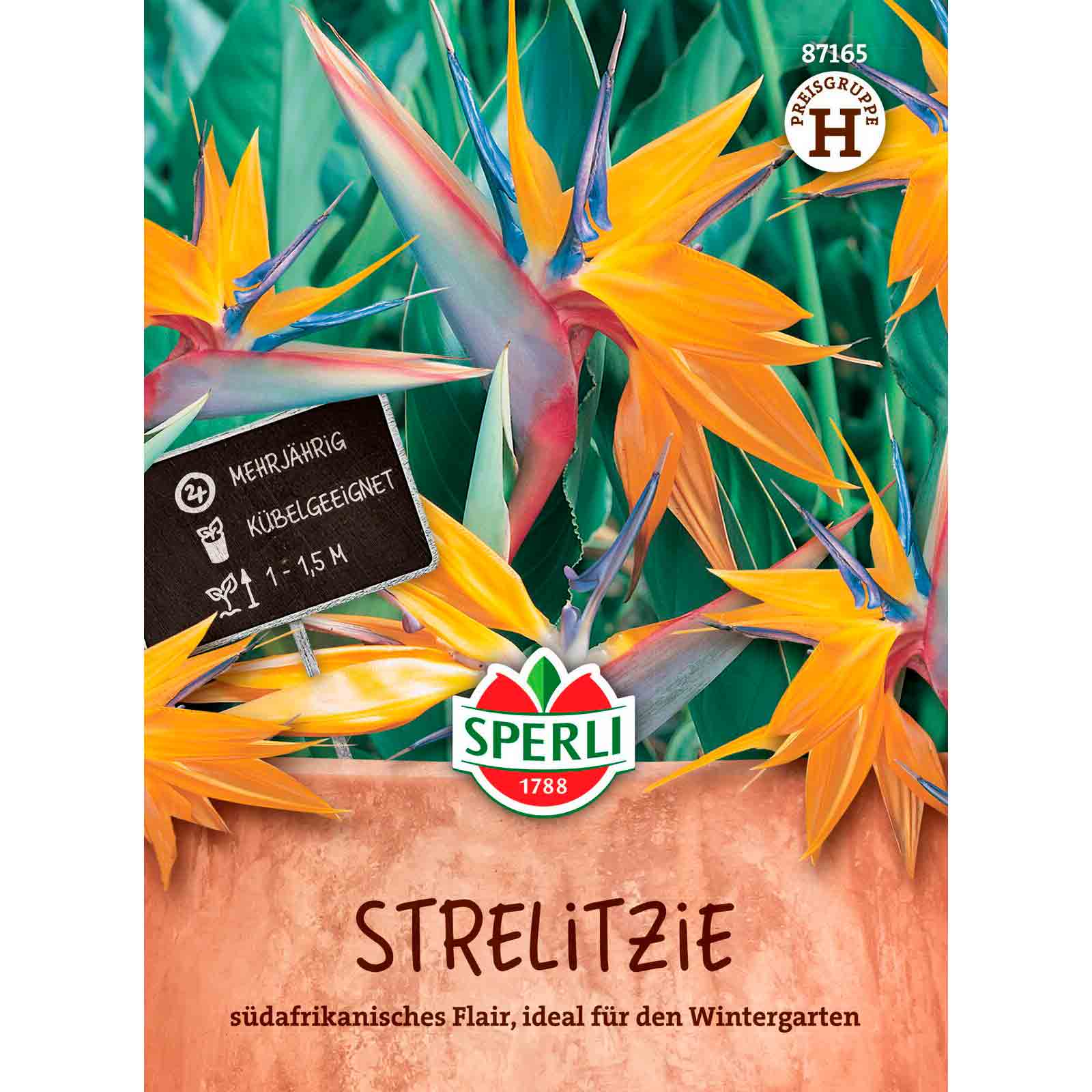 Strelitzie