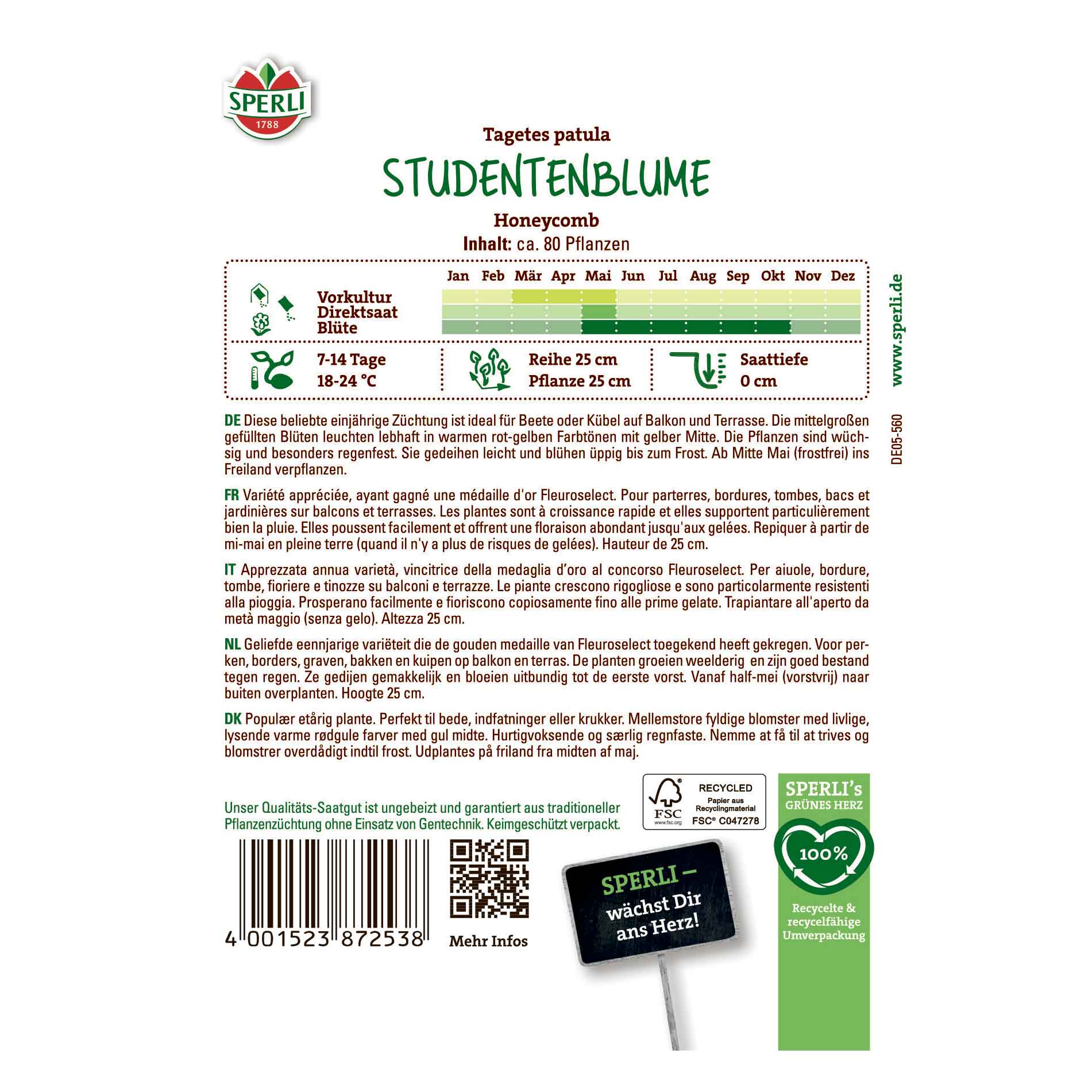 Student Blomma Honeycomb