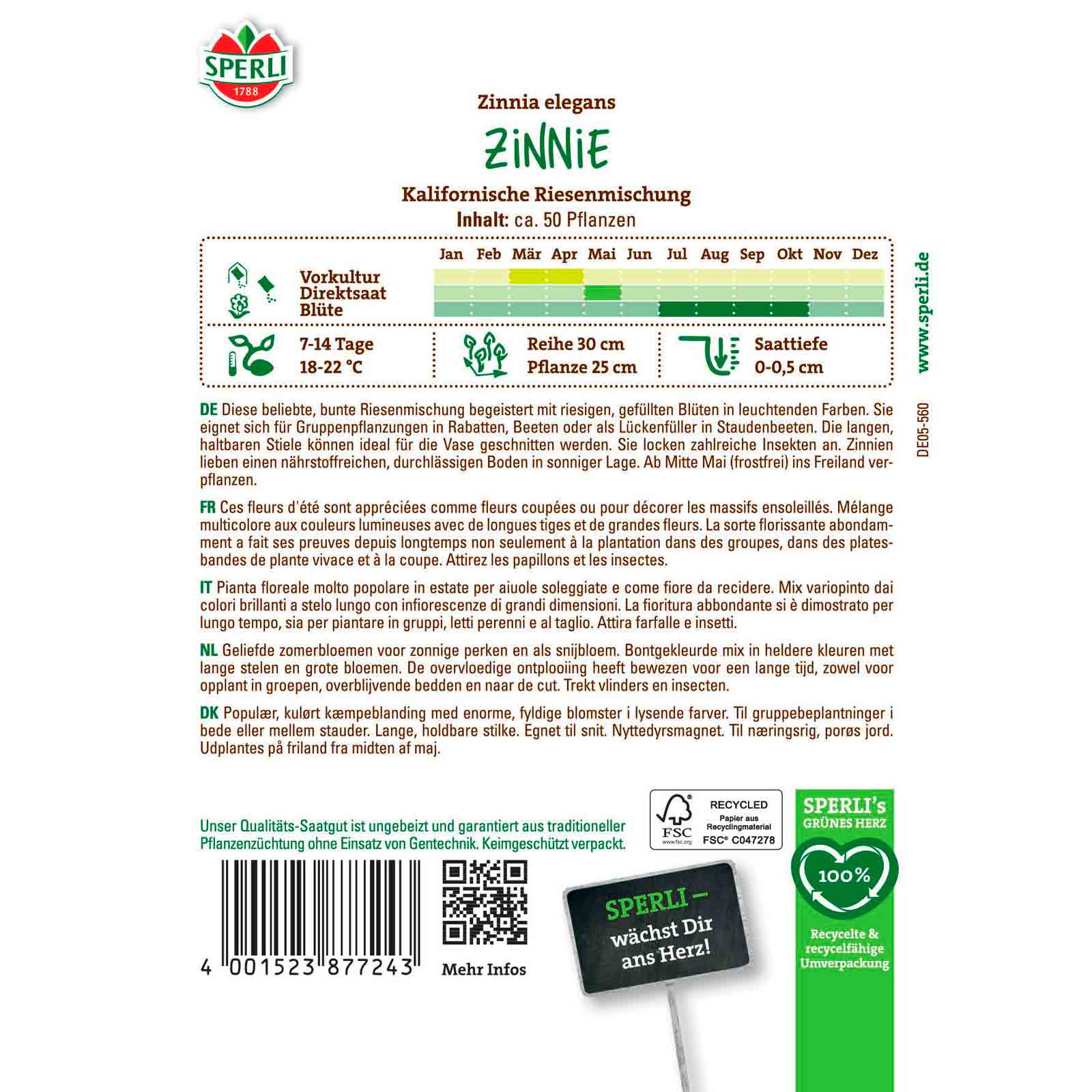 Zinnie Kalifornische Riesenmischung