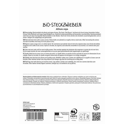 Rote BIO-Steckzwiebel Red Baron