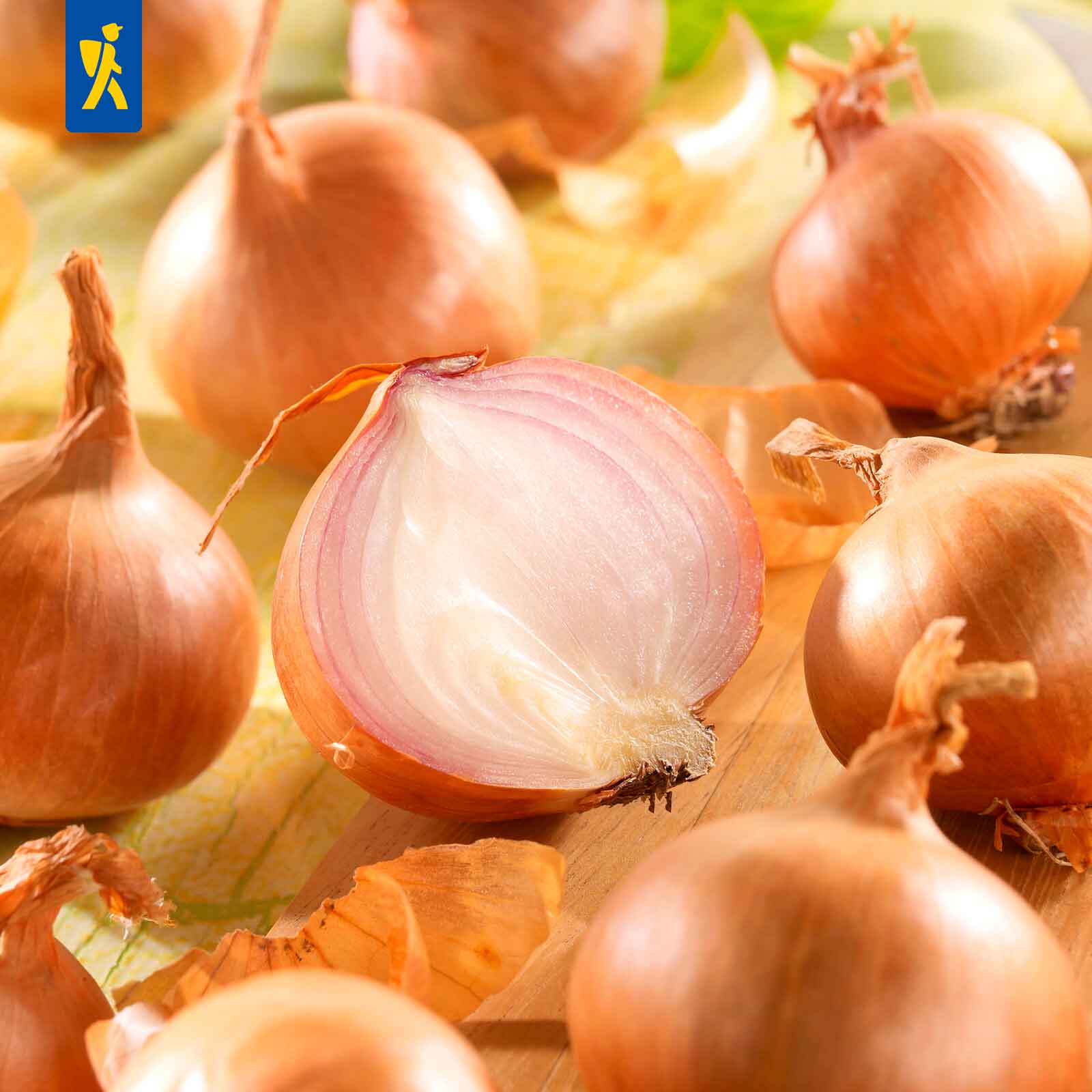 Rote Schalotten, Gr.7/14, 400 g