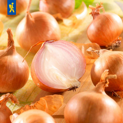 Rote Schalotten, Gr.7/14, 400 g