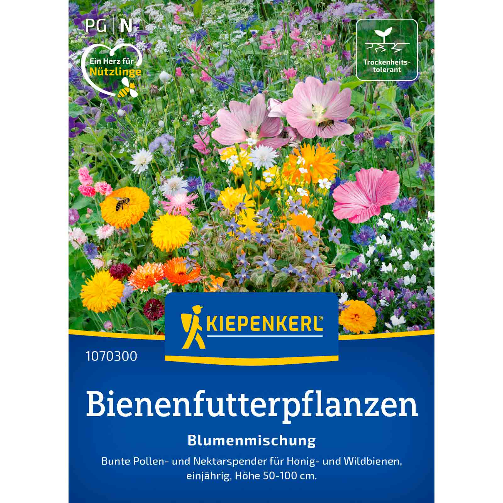 Blumenmischung Bienenfutterpflanzen