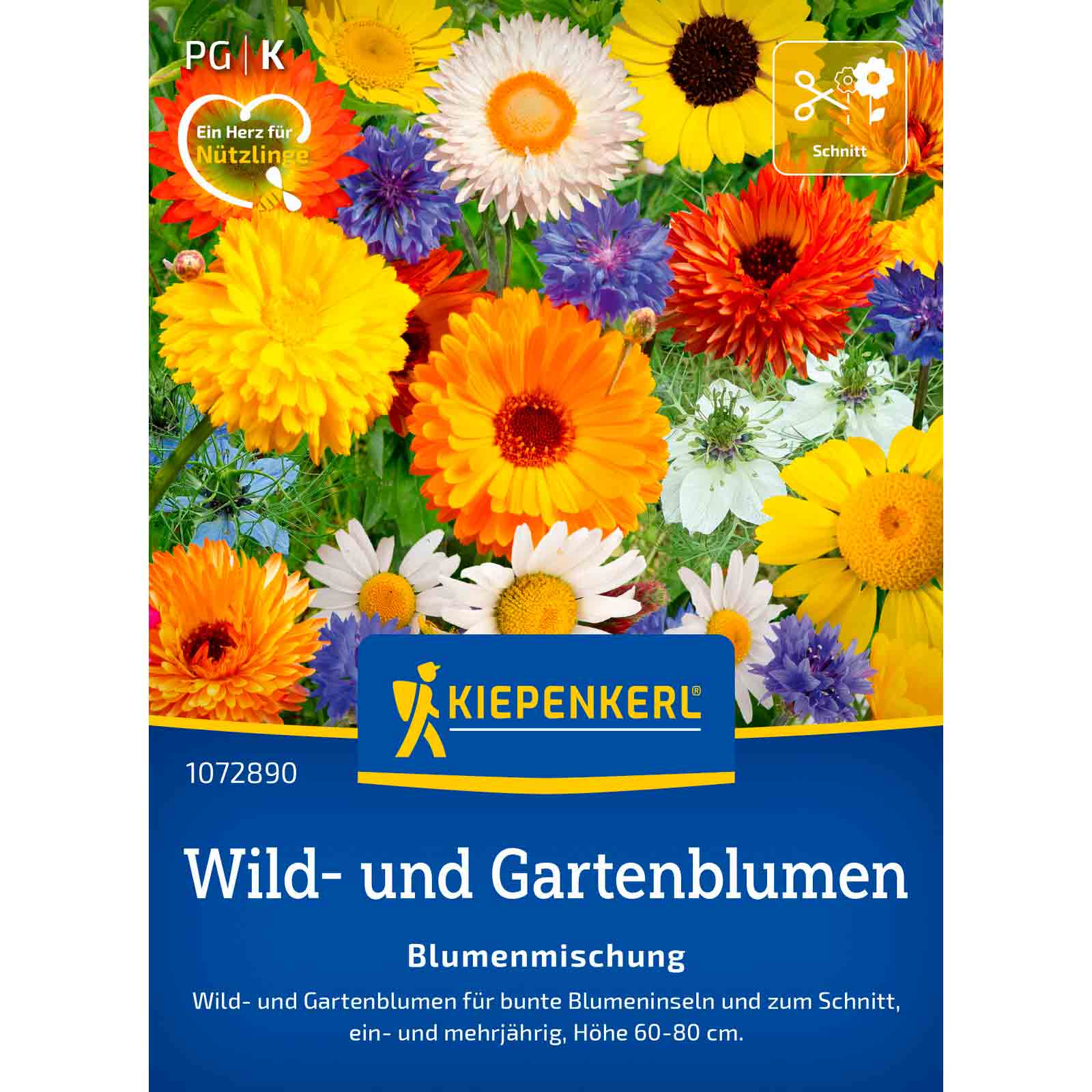 Blumenmischung Wild und Gartenblumen