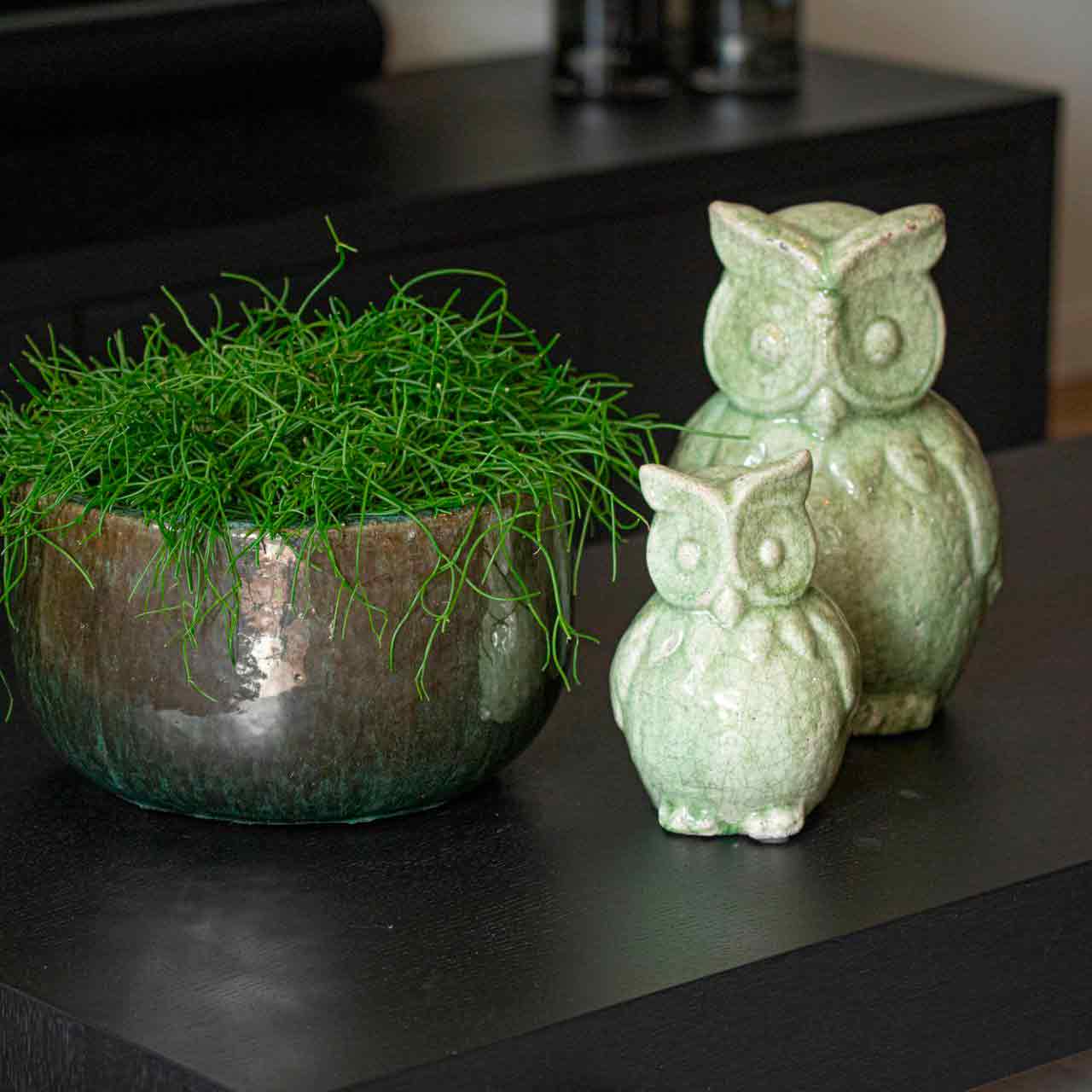 Julliet Owl Green W13H19