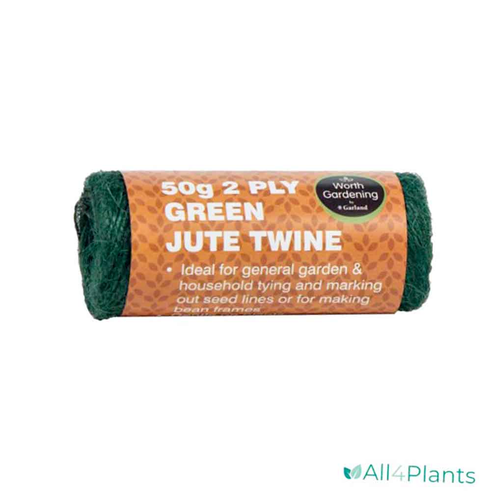 50g 2 Ply Green Jute Twine
