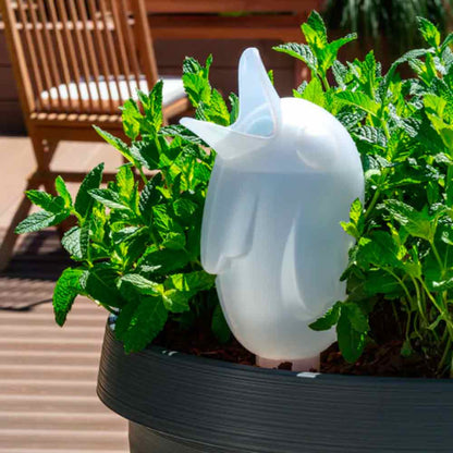 Boerdy Xxl Indoor Transparent 110/33