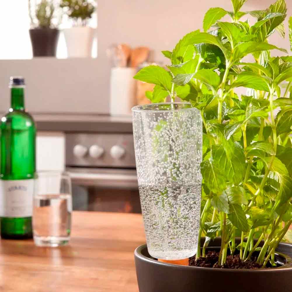 Copa Xl Indoor Transp.Clear 112/24