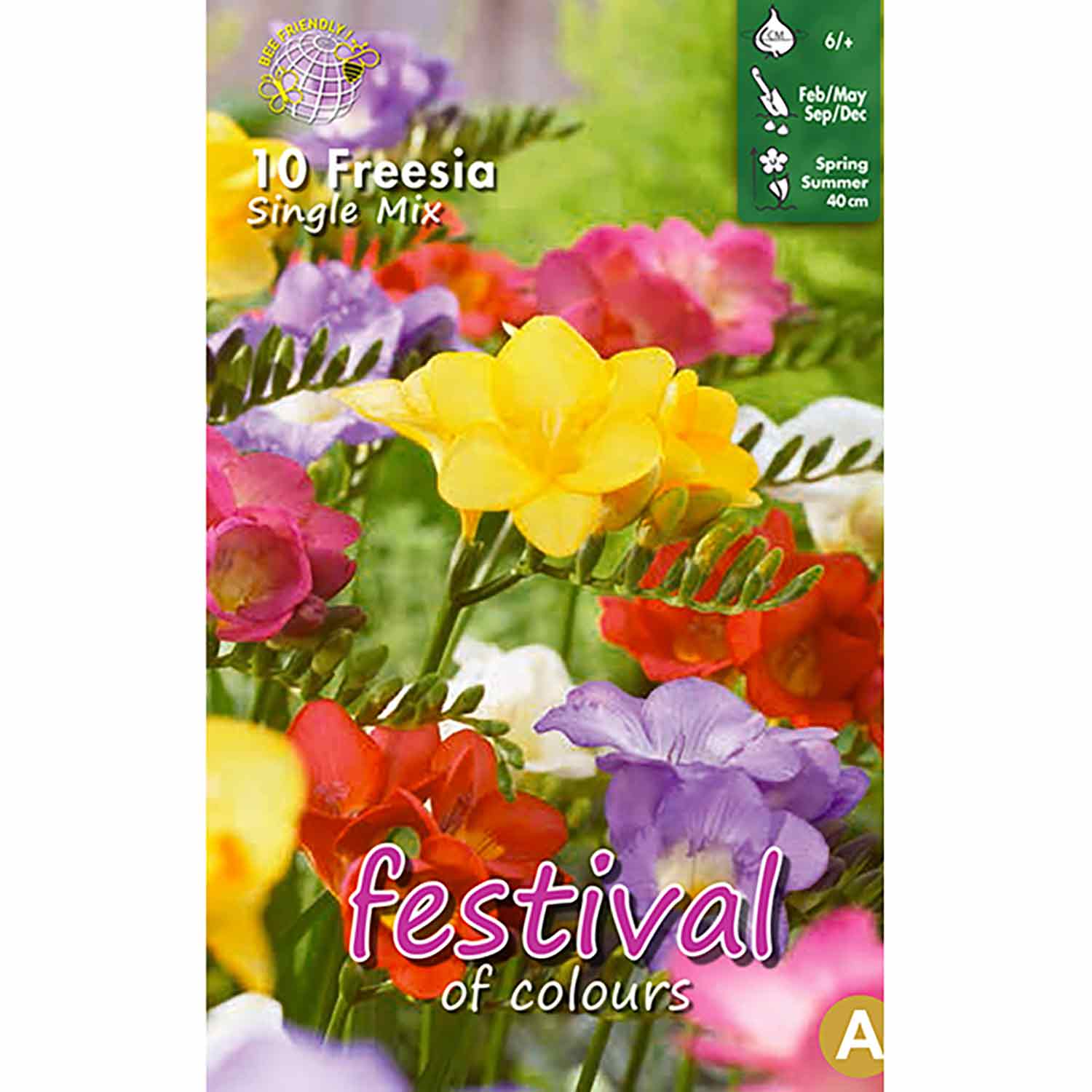 Freesia Mixed Single 5/+ 10stk