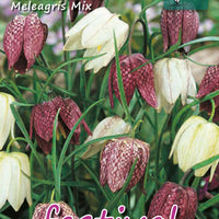 Kejserkrone, Vibeæg<br> & Fritillaria