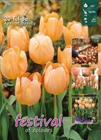 Tulipanløg - gule og orange