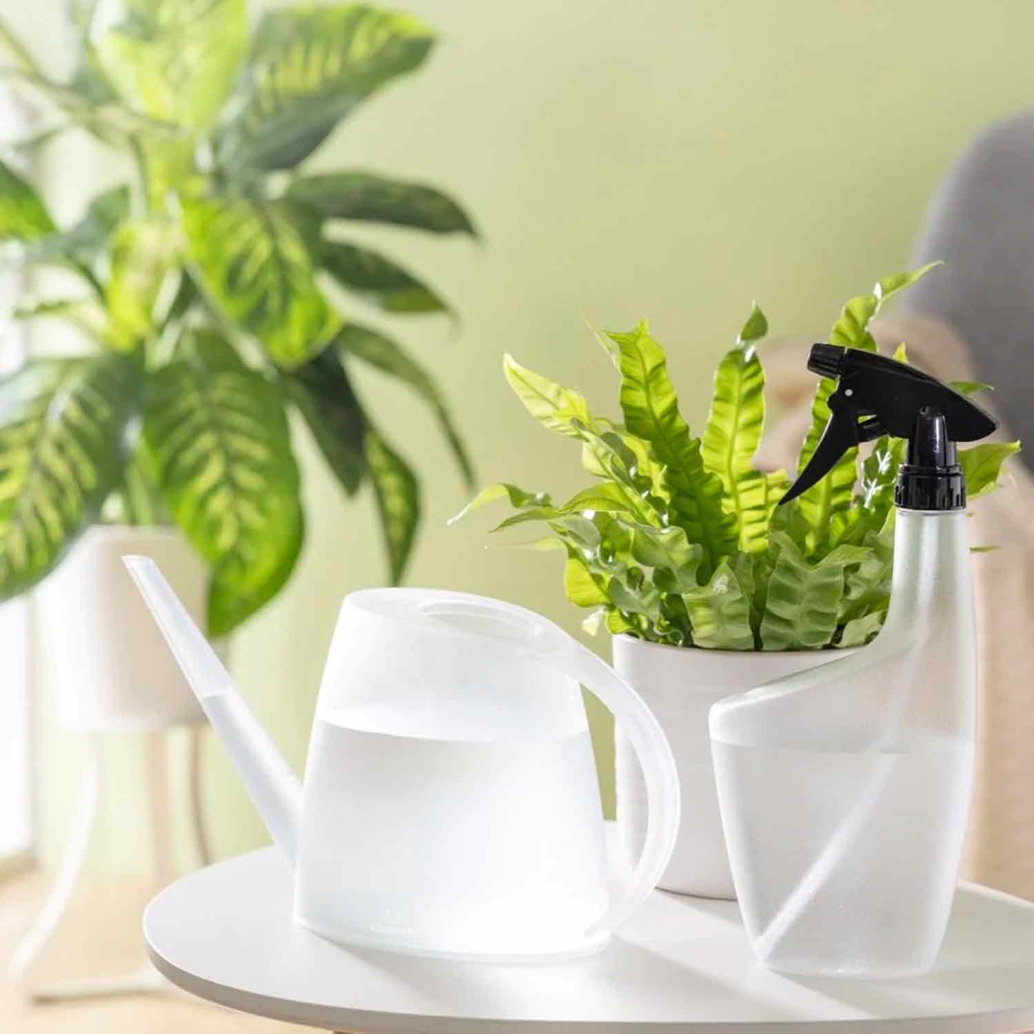 Watering Can Lilly Clear Pearl 170/16