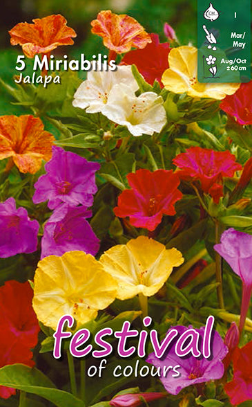 Mirabilis Jalapa 5stk