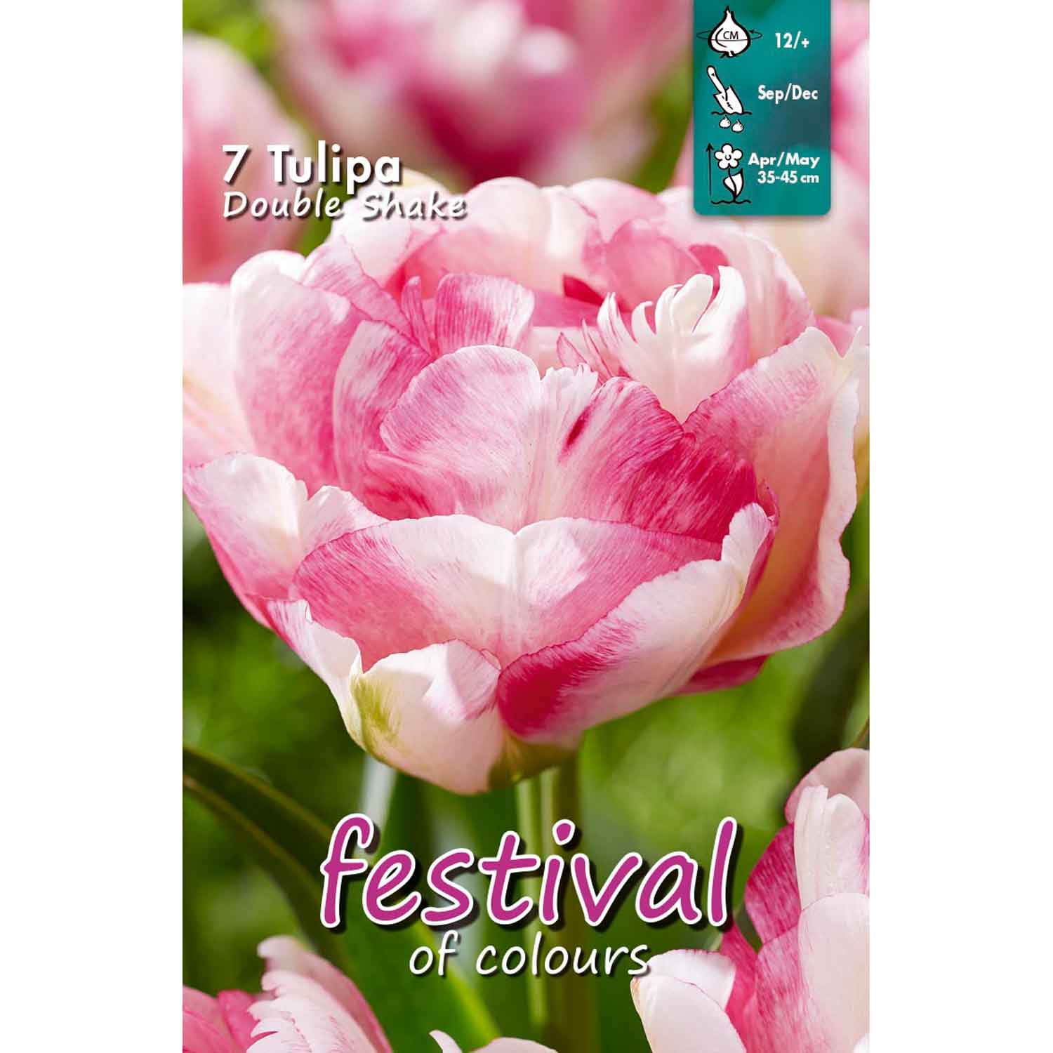 Tulips Double Shake 12/+, 7stk