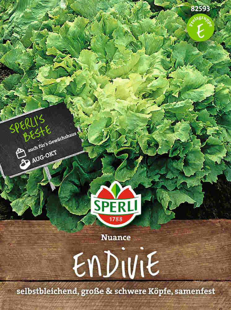 Endive salad seeds - Nuance