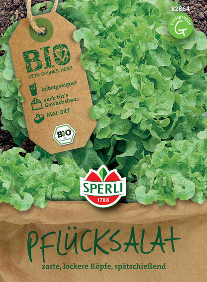 Pickled lettuce seeds - Organic, green