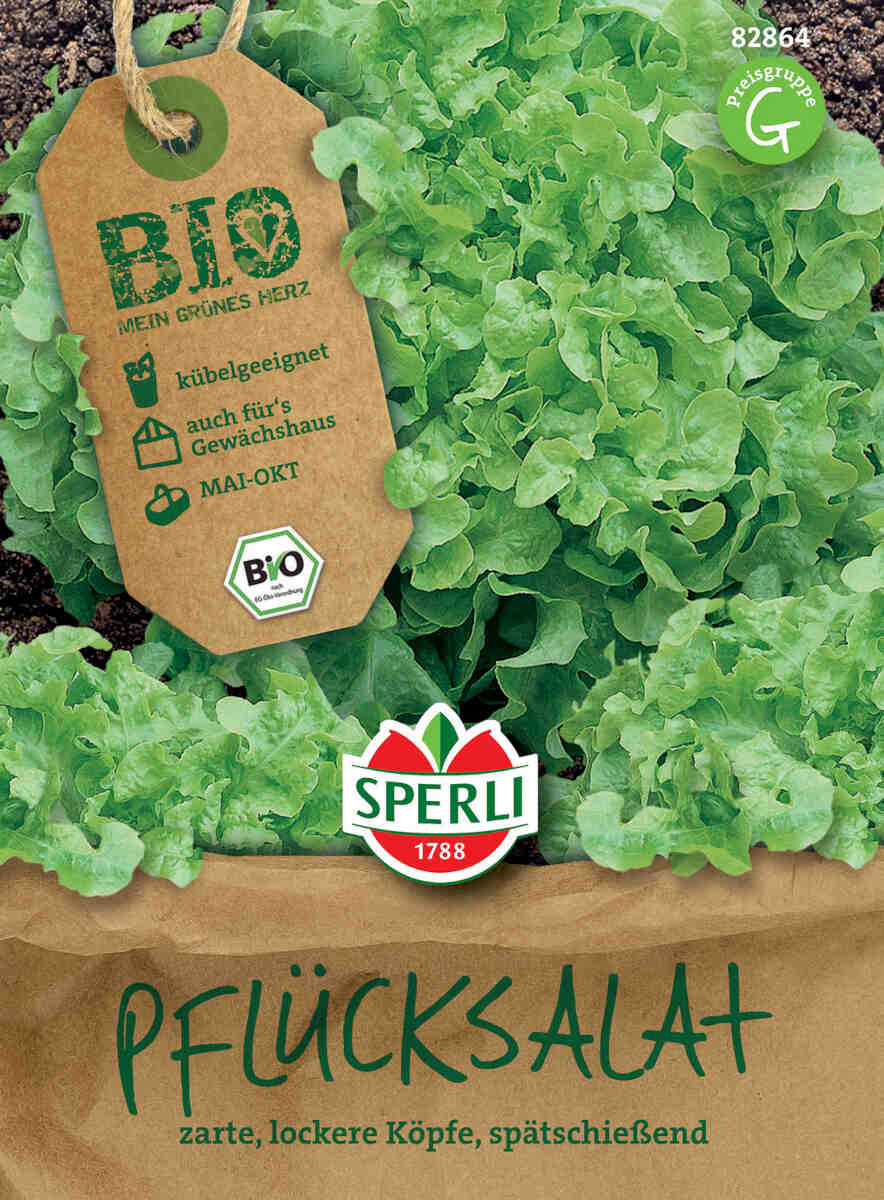 Pickled lettuce seeds - Organic, green