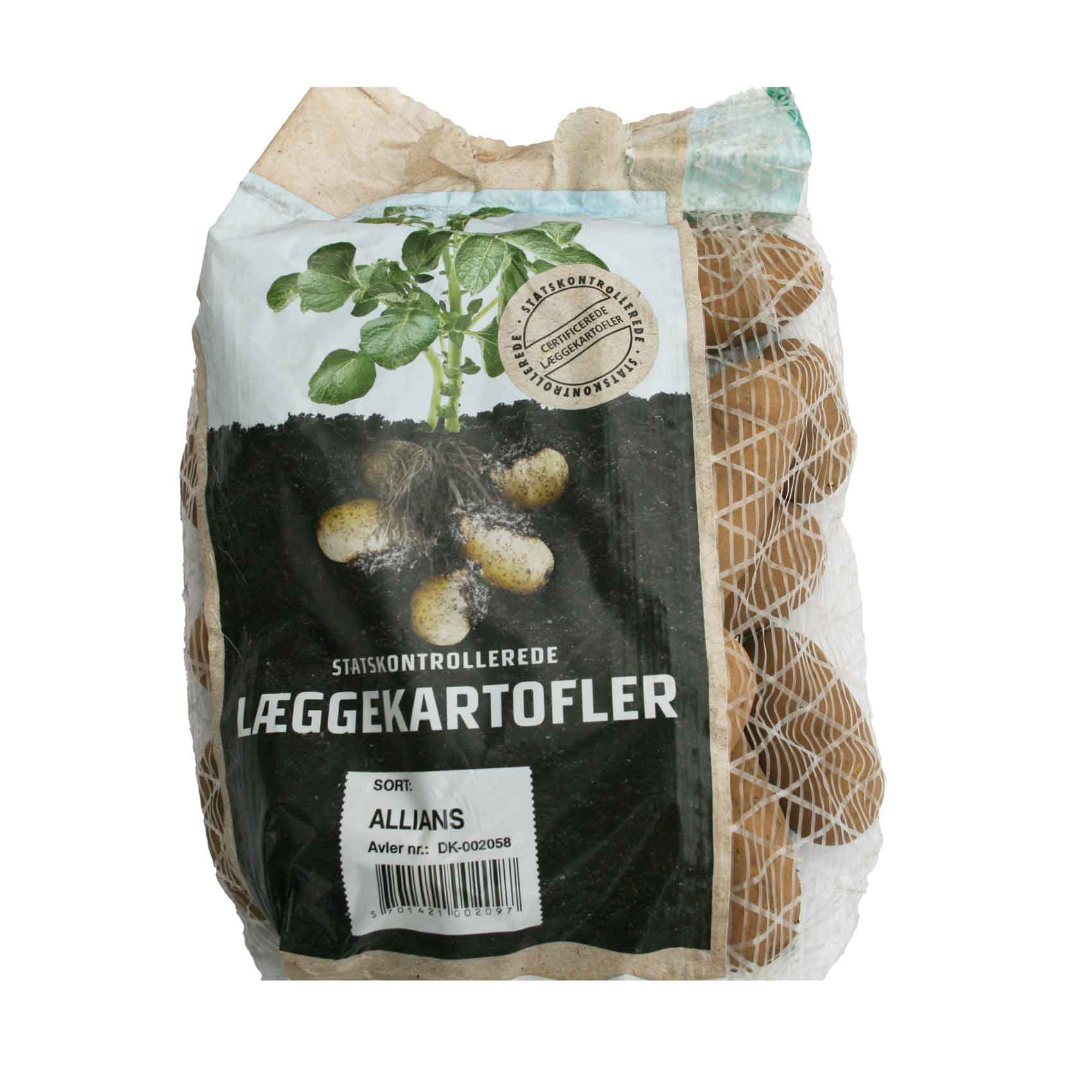 Utsädespotatis - Allians - 1,5 kg