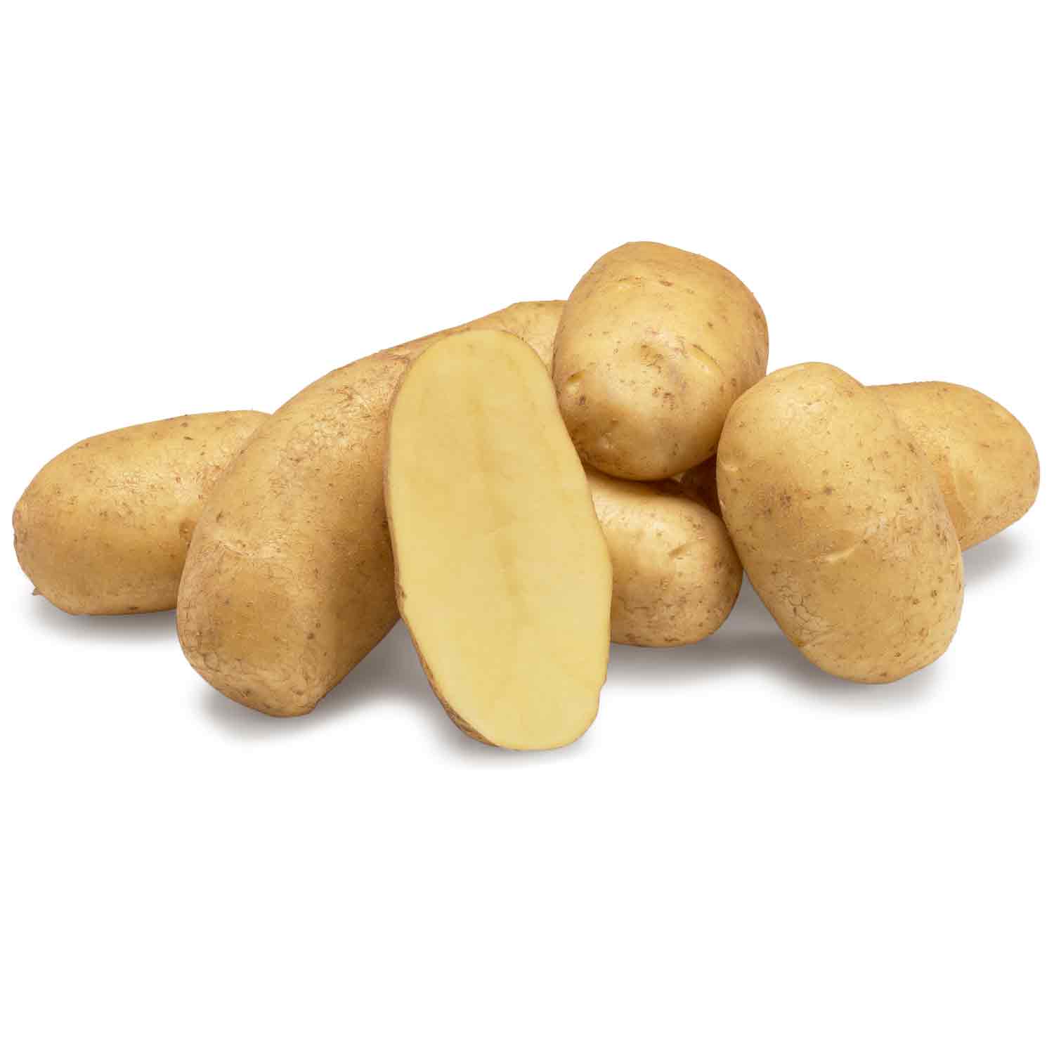 Seed potatoes - Ditta 10kg | Kun DKK 189 | Laubjerg Havecenter
