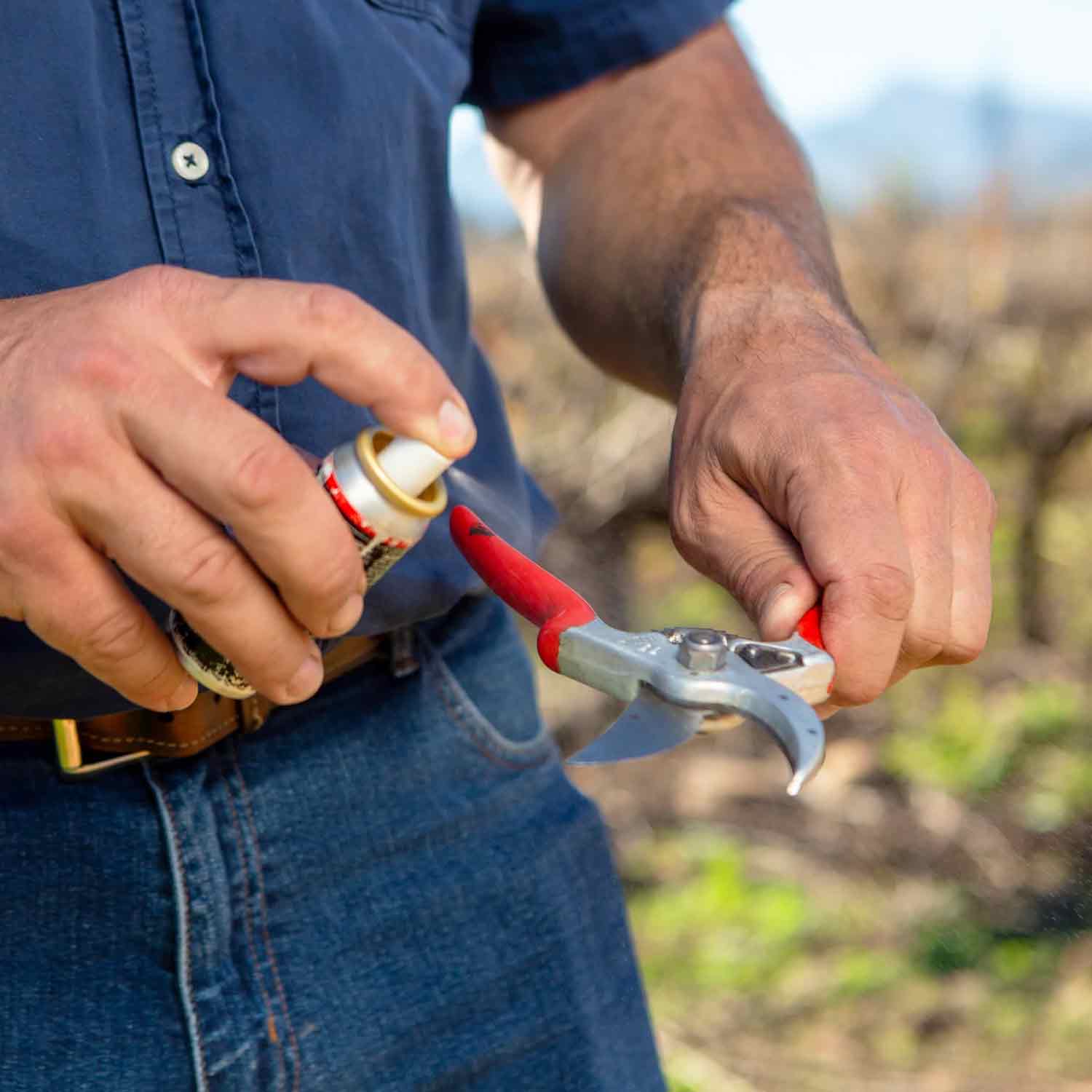 Felco 980 Spray Oil 56ml