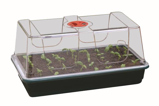Mini greenhouse - Growhouse large