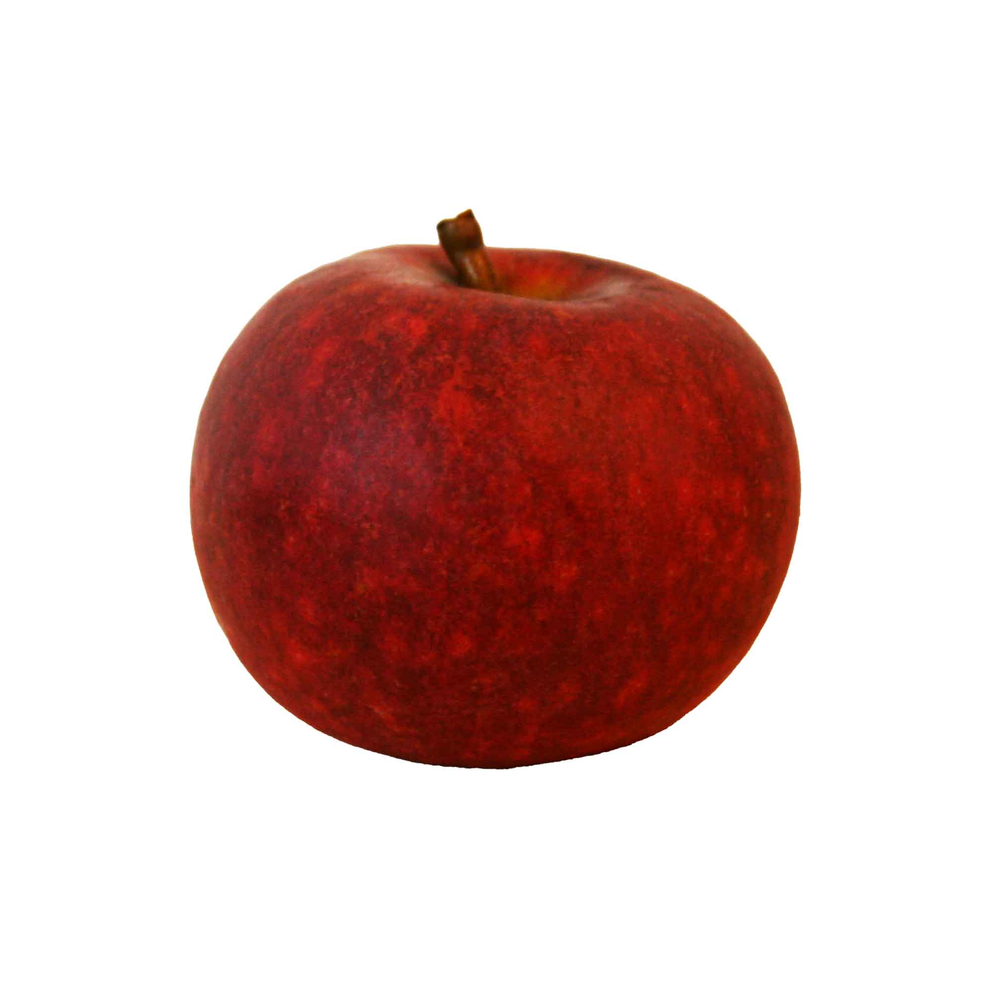 Äppelträd Ingrid Marie Röd Espalier