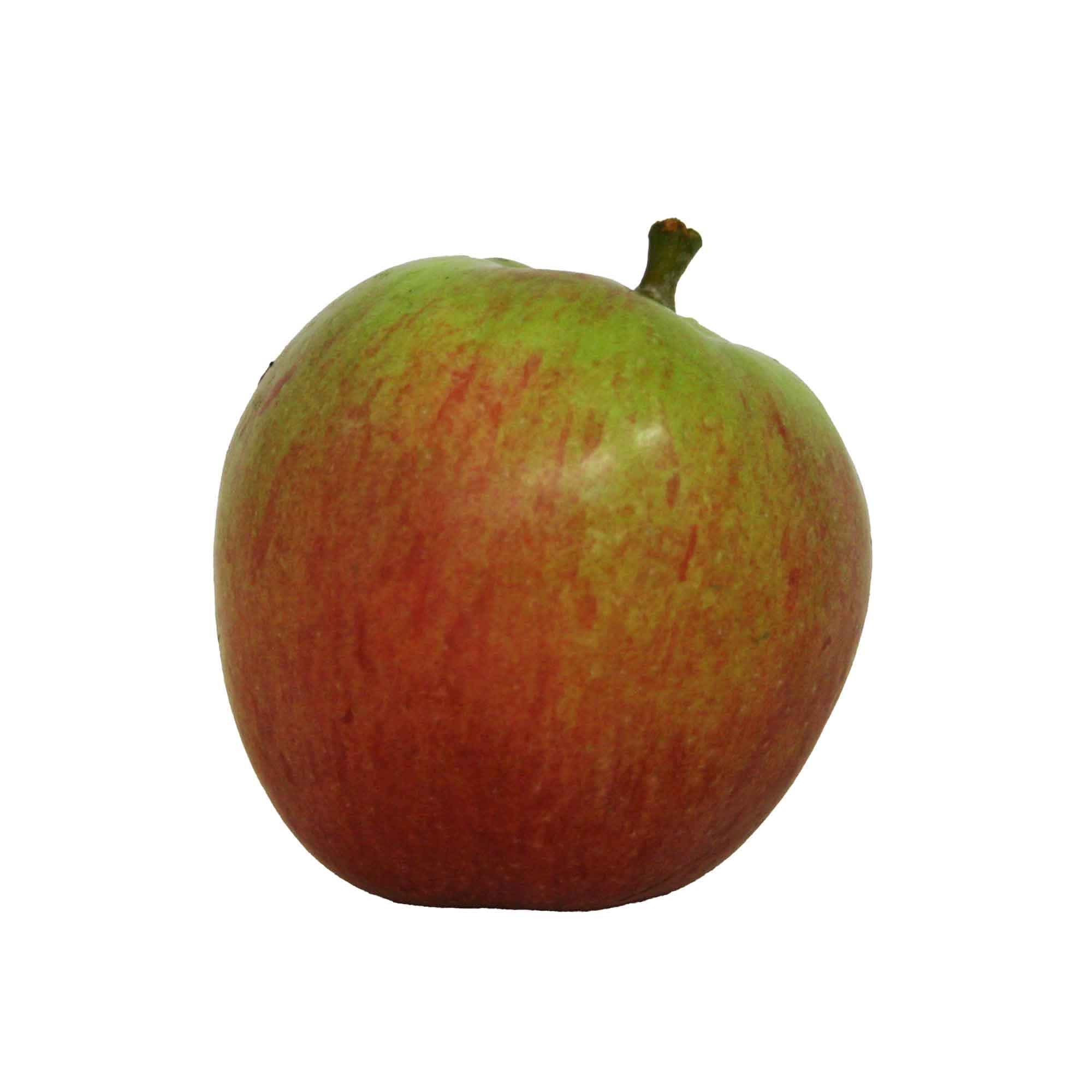 SWEET SEXTON MALUS DOMESTICA