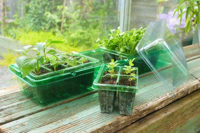 Gro-sure Visiroot Windowsill Prop Set