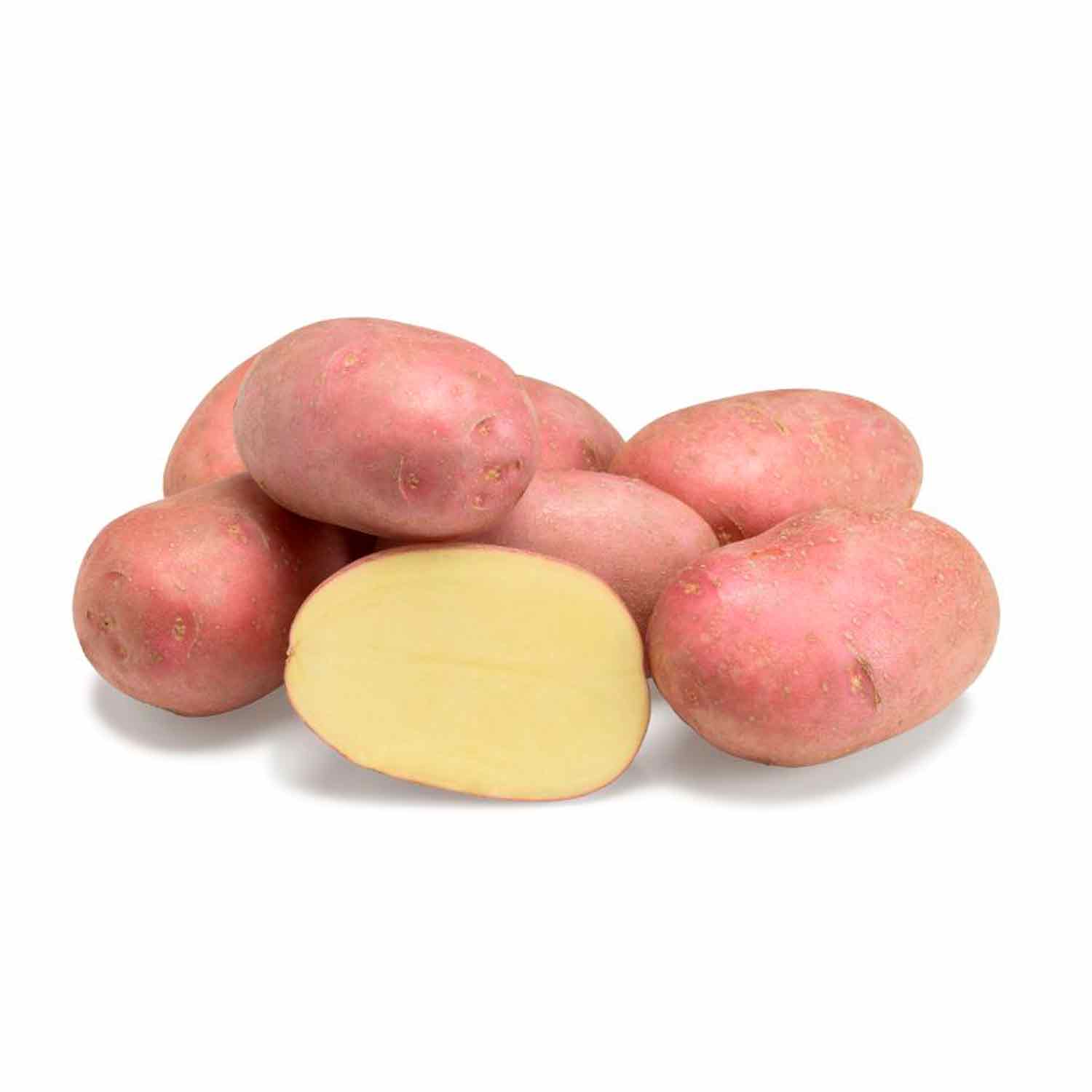 Læggekartofler - Alouette (rød) 1,5kg