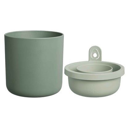 amazing avocado pot leaf green