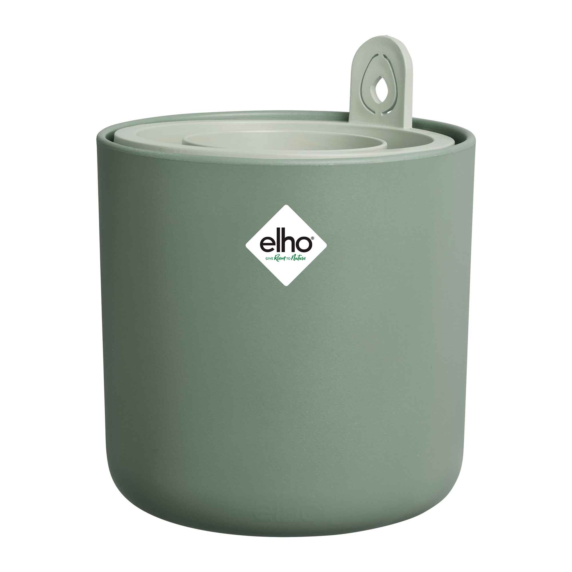 amazing avocado pot leaf green