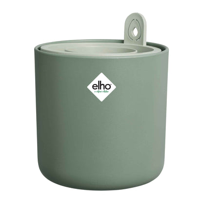 amazing avocado pot leaf green