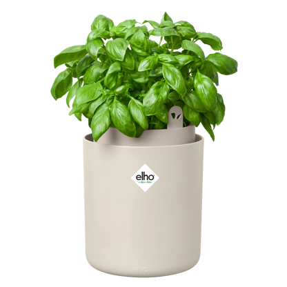 Happy Herbs Linen White