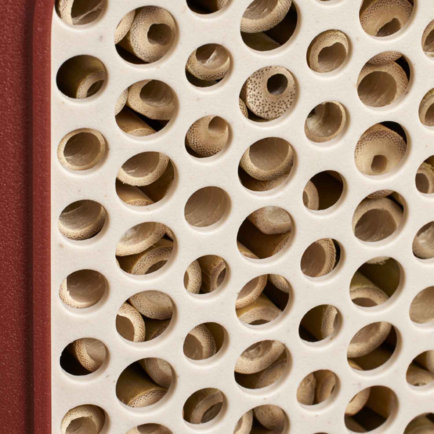 cosy insect hotel 18 tuscan red