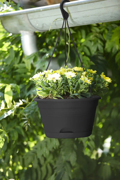green basic hanging basket 28 living black