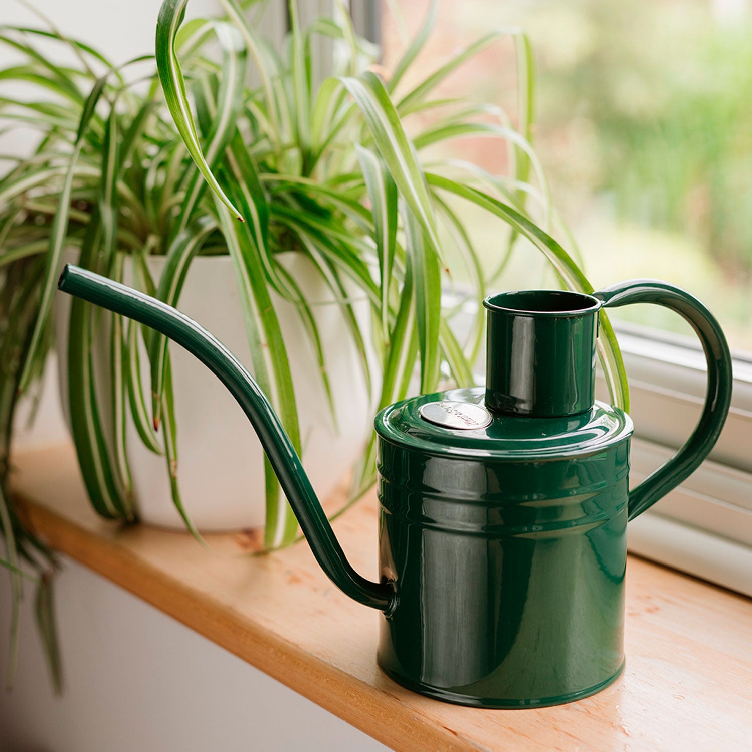 Indoor Metal Watering Can Forest Green