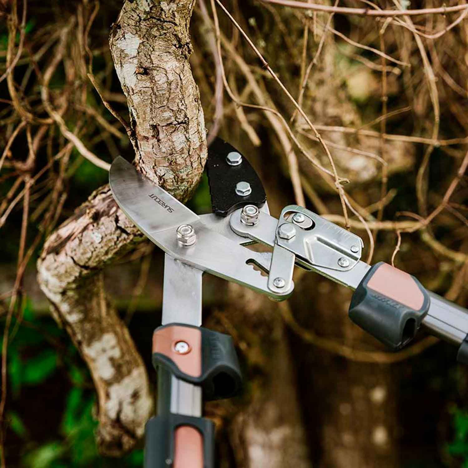 KS Surecut Tele Ratchet Anvil Lopper