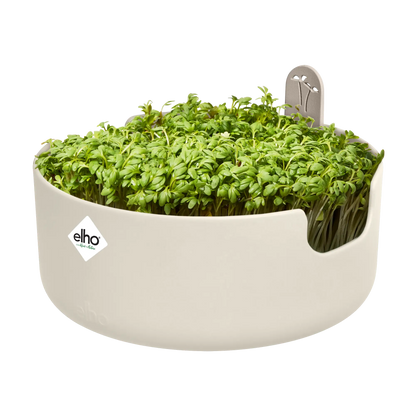 Magic microgreens linen white