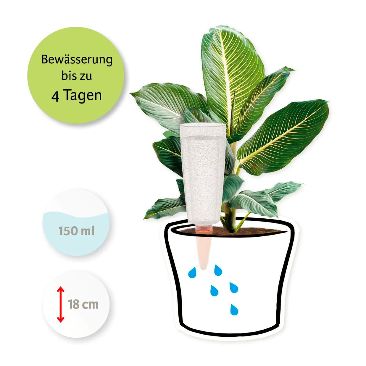 Copa Transp.Clear 112/18